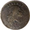 Image 1 : 1793 Chain 1C AMERI. Fine 12 PCGS. 