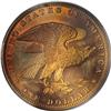 Image 2 : 1882 $1 Shield Earring Silver Dollar, Judd-1703, Pollo 
