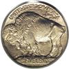 Image 2 : 1913 5C Type One PR67 PCGS. This razor-sharp Superb Ge 