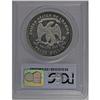 Image 2 : 1879 T$1 PR62 PCGS. Hazy gray patina saturates the obv 