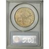 Image 4 : 1890-CC $20 MS61 PCGS. The yellow-orange surfaces have 