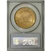 Image 4 : 1891-S $20 MS64 PCGS. This assertively struck and lust 