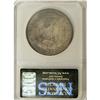 Image 2 : 1894 S$1 --Improperly Cleaned--NCS. AU Details. A light 