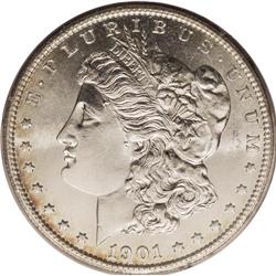 1901-S S$1 MS65 PCGS. Honey-gold freckles adorn the ma 