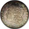 Image 1 : 1879 S$1 PR64 PCGS. Deep mauve-gray patina covers most 