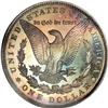 Image 2 : 1892 S$1 PR66 S NGC. Dramatic rose-red, gold, and oce 