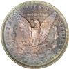 Image 2 : 1892 S$1 PR67 NGC. Plum-red shades adorn the centers, 