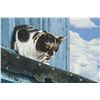 Image 3 : Canadian/American Oil on Board Cat