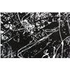 Image 3 : Jackson Pollock American Signed Silkscreen 24/60