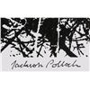 Image 4 : Jackson Pollock American Signed Silkscreen 24/60