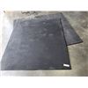 Image 1 : 2 weight lifting mats 48" x 58" x 5/8" thick