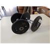 Image 2 : 2  5LB DUMBELLS