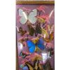 Image 2 : VINTAGE MADE IN BRAZIL BUTTERFLY DISPLAY