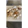 Image 1 : LOT OF CORAL, GEODES, STARFISH, ETC