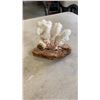 Image 2 : LOT OF CORAL, GEODES, STARFISH, ETC