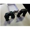 Image 1 : EAGLE 20X50 BINOCULARS AND COBRA BINOCULARS