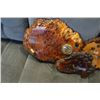 Image 2 : 5 BURL CLOCKS
