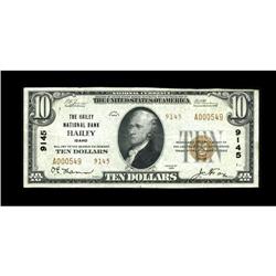 Hailey, ID - $10 1929 Ty. 2 The Hailey NB Ch. # 9145A v 