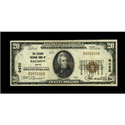 Salmon, ID - $20 1929 Ty. 1 The Citizens NB Ch. # 9432T 