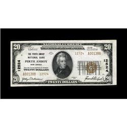 Perth Amboy, NJ - $20 1929 Ty. 2 The Perth Amboy NB Ch. 