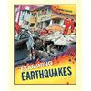 Image 1 : Examining Disasters Earthquakes