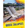 Image 1 : Examining Bridges Collapses.
