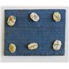 Image 3 : Chinese Bone Buttons