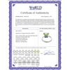 Image 2 : Genuine 0.60 ctw Peridot & Blue Topaz Ring 14KT White Gold - REF-28X9M