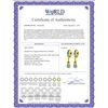 Image 2 : Genuine 2.5 ctw Blue Topaz Earrings 14KT Yellow Gold - REF-75H3X