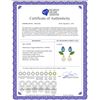 Image 2 : Genuine 16.6 ctw Blue Topaz & Peridot Earrings 14KT White Gold - REF-45M7T