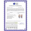 Image 2 : Genuine 1.30 ctw Multi-Color Sapphire Earrings 14KT White Gold - REF-30K9V