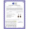 Image 2 : Genuine 2.12 ctw Multi-gemstones Earrings 14KT White Gold - REF-42Z4N