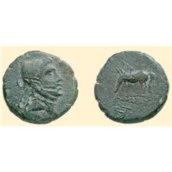 GREEK COINS - PONTOS - Amisos - AE 23