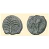 Image 1 : GREEK COINS - JUDAEA - AE Bar Kochba Revolt