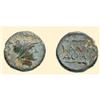 Image 1 : GREEK COINS - BLACK SEA - KALLATIS - AE 13