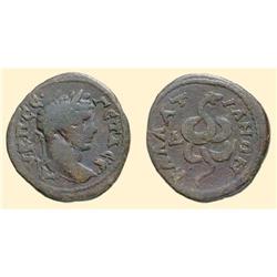 ROMAN  COINS - BLACK SEA - KALLATIS - GETA AE