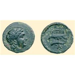 GREEK  COINS - BLACK SEA - ISTROS - AE 20