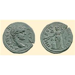 ROMAN  COINS - BLACK SEA - TOMIS - GETA AE