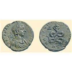 ROMAN  COINS - BLACK SEA - TOMIS - SEVERUS ALEXANDER AE