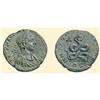 Image 1 : ROMAN  COINS - BLACK SEA - TOMIS - SEVERUS ALEXANDER AE