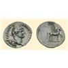 Image 1 : ROMAN COINS - Domitian - AR Denarius PEGASUS