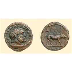 ROMAN COINS - Trajan - AE Quadrans BOAR