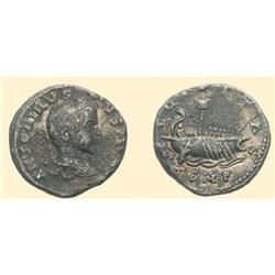 ROMAN COINS -  Elagabalus - AR Denarius