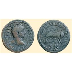 ROMAN COINS - Severus Alexander - AE Sestertius ANTIOCH WOLF