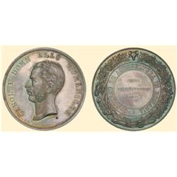 ROMANIA Silver medal (58 mm) Carol I Agricultural Context 1868