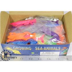 RETAIL DISPLAY OF GROWING SEA ANIMALS