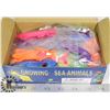 Image 1 : RETAIL DISPLAY OF GROWING SEA ANIMALS