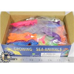 RETAIL DISPLAY OF GROWING SEA ANIMALS