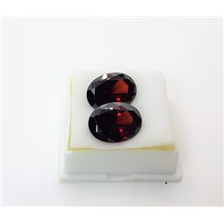 10)  LOT OF 2 MATCHED OVAL LAB CREATED