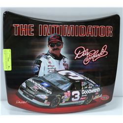 14X13 METAL WALL SIGN DALE SR NASCAR